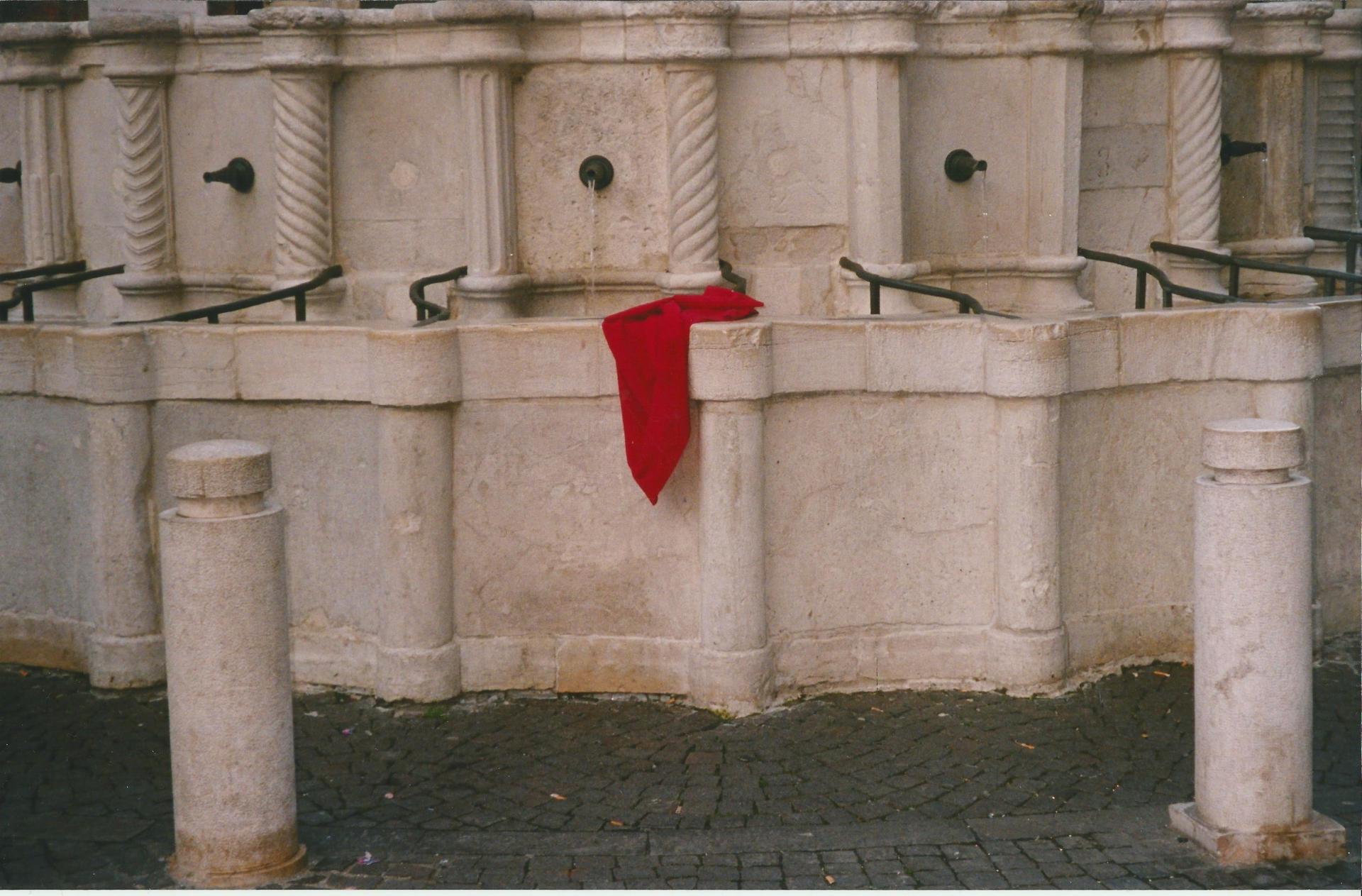 DIMENTICANZA-Fontana della Pigna-Rimini (RN)-ID 08H2940002 foto di Marcospinelli1959