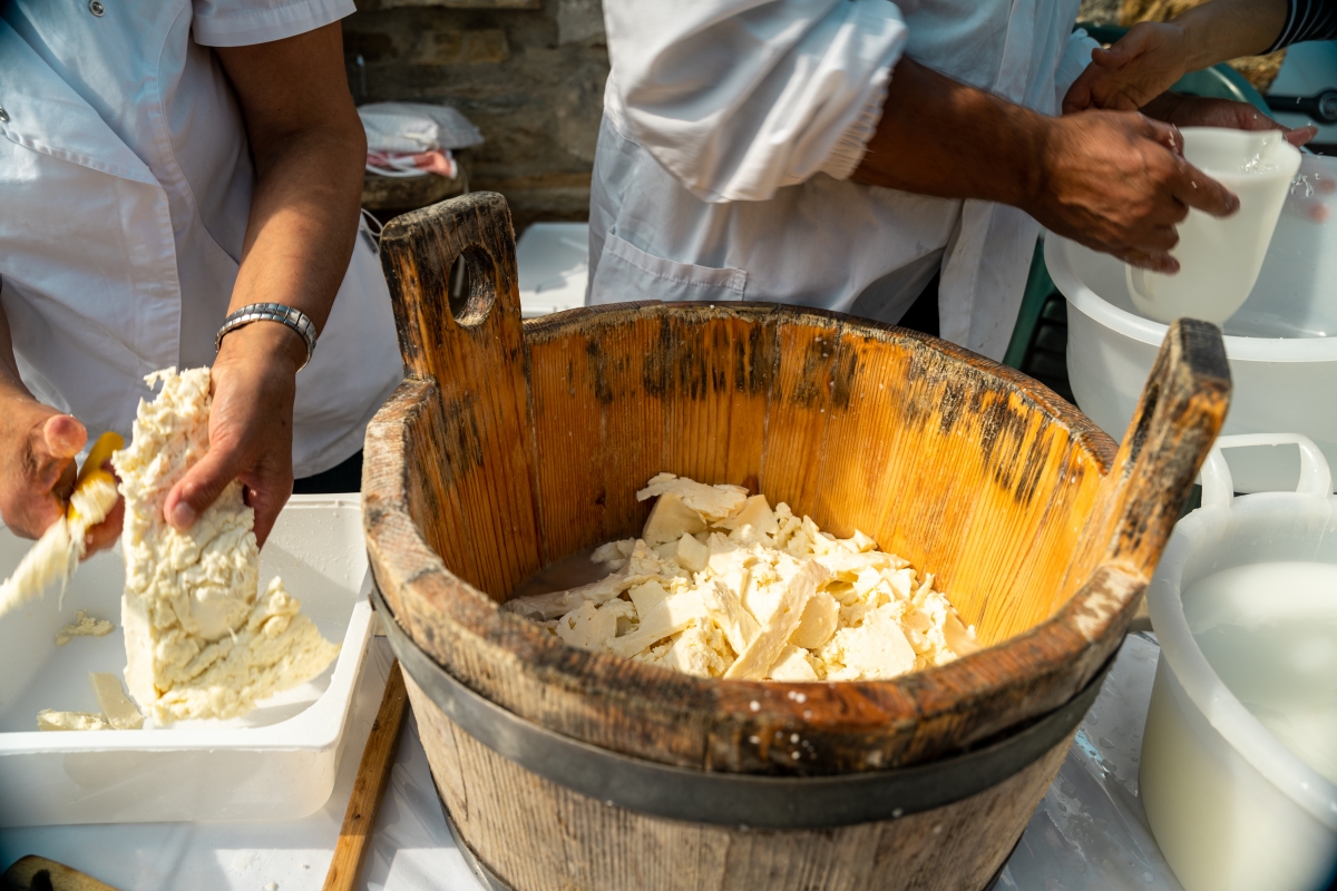 Artisan cheese production - ENIT SpA