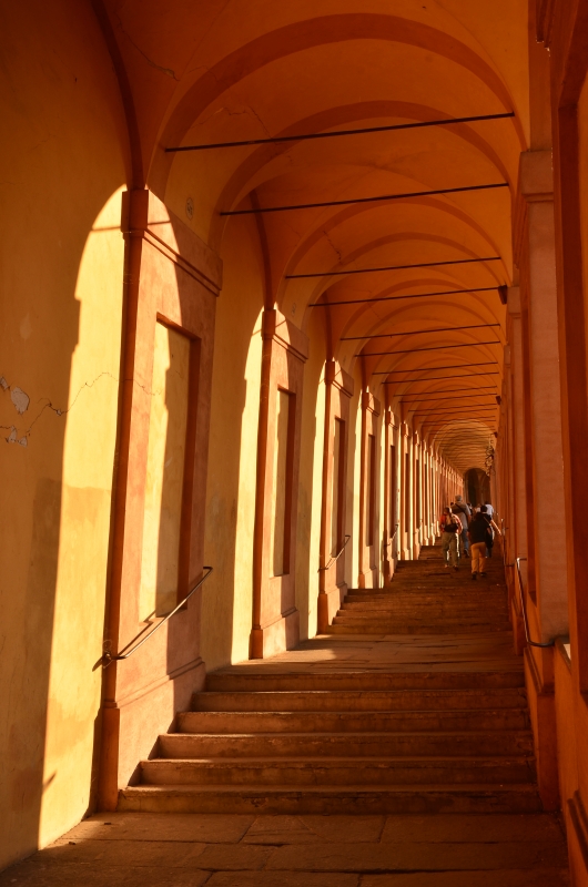 Verso San Luca al tramonto - Cinzia.83