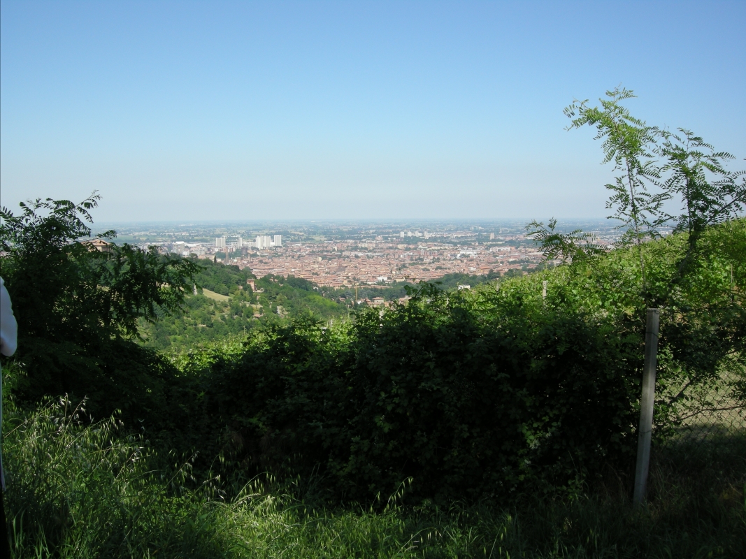 Panorama dall'Osservanza - Gabriella Borghetto