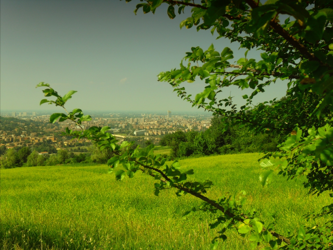 Vista di Bologna dal Parco dei Gessi 2 - Lia Versaci