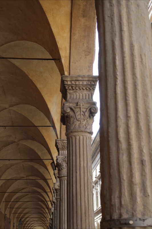 Via Zamboni, colonne in rena - Marirosa Iannelli