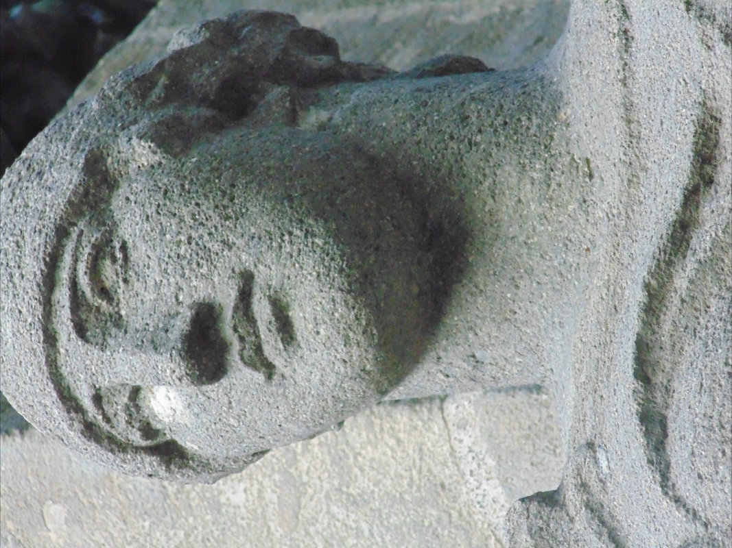 Monumento ai Caduti della prima guerra mondiale (dettaglio volto) - Maurolattuga