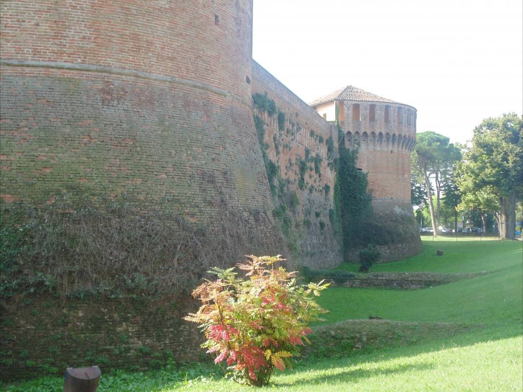 Rocca Sforzesca (dettaglio) - Maurolattuga