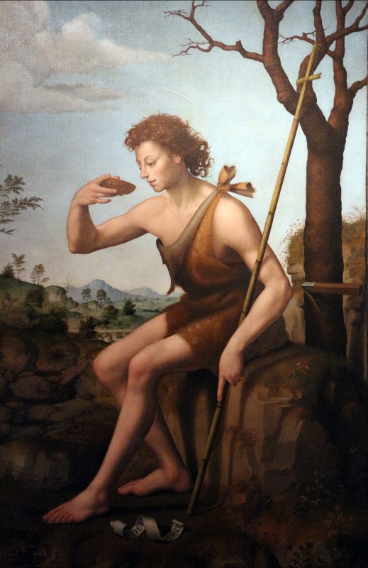 Giuliano bugiardini, san giovannino nel deserto, 1523-25, da s. stefano 02 - Sailko