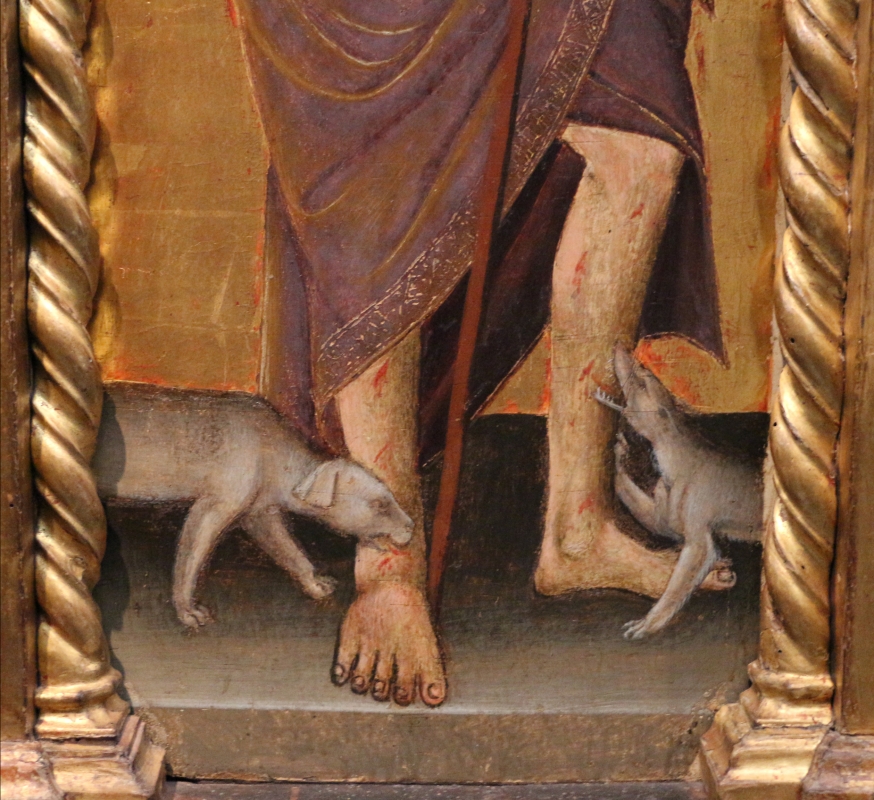 Michele di matteo, polittico da s. pietro martire, 1462, 03 cani - Sailko