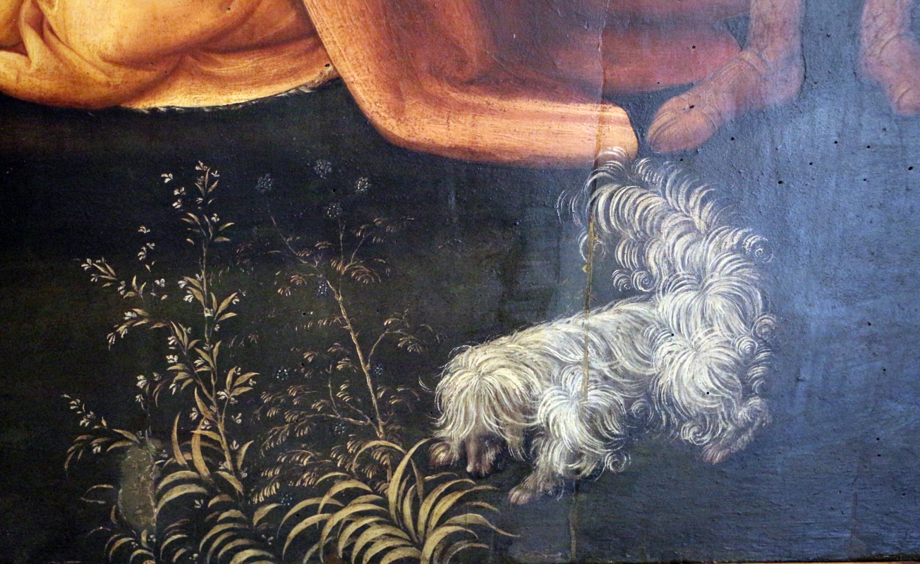 Amico aspertini, adorazione dei magi, 1499-1500 ca., da s.m. maddalena di galliera, 08 - Sailko