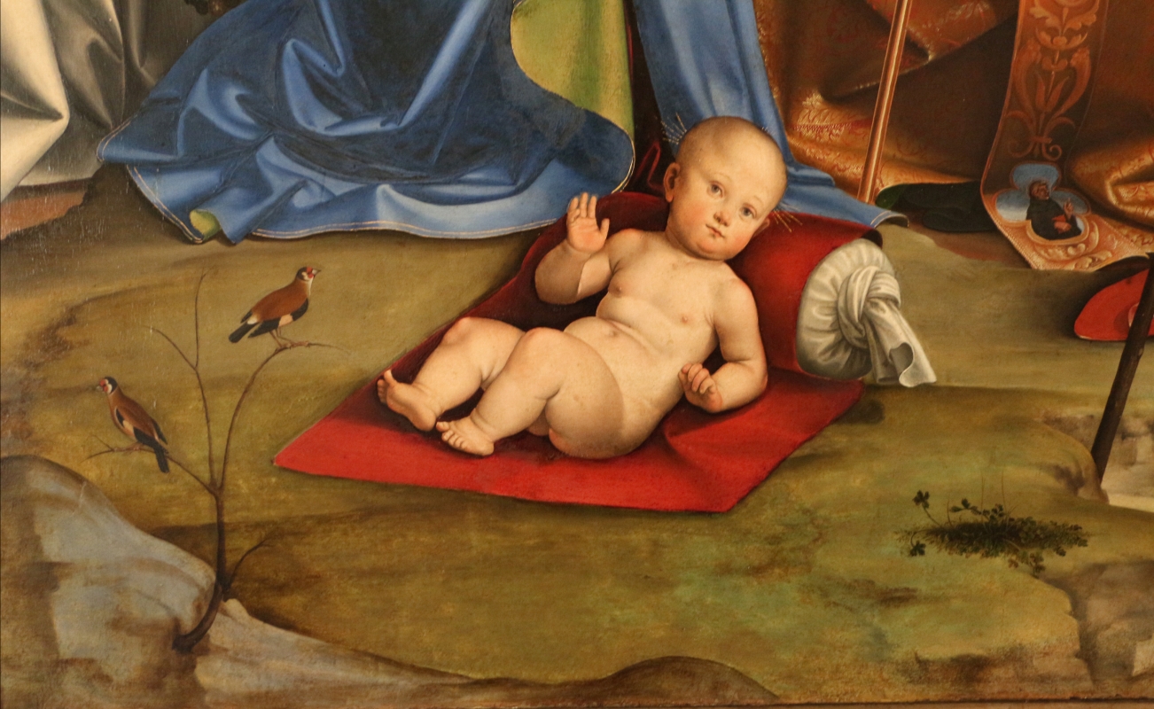 Francesco francia, adorazione del bambino con santi alla presenza di anton galeazzo e alessandro bentivoglio, 1498-99, da s.m. della misericordia 06 - Sailko