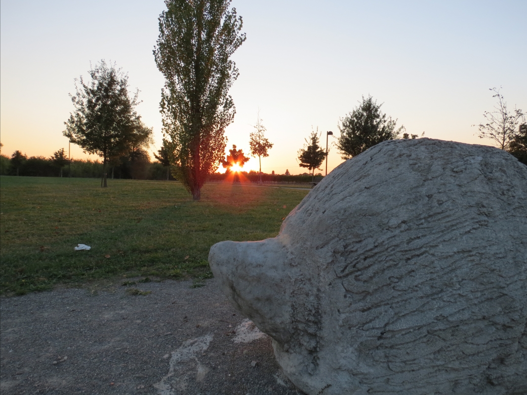 Parco Lupicchio - il porcospino - DONAT