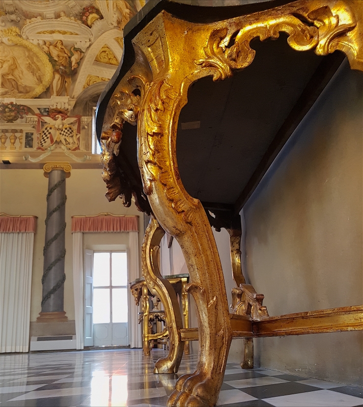 Palazzo Pepoli Campogrande - Salone d'onore particolare dal basso - Opi1010