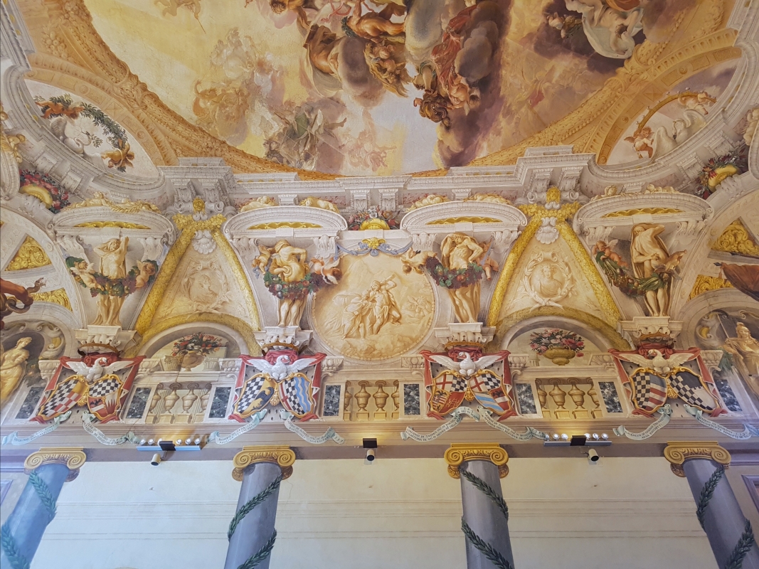 Palazzo Pepoli Campogrande - Salone d'onore con il naso all'insù - Opi1010