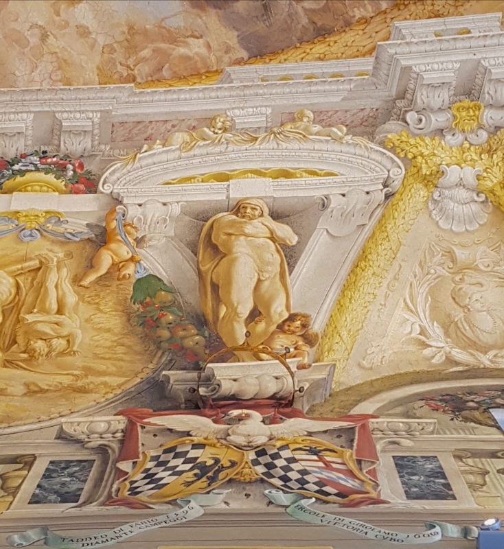 Palazzo Pepoli Campogrande - Salone d'onore particolare affresco soffitto - Opi1010
