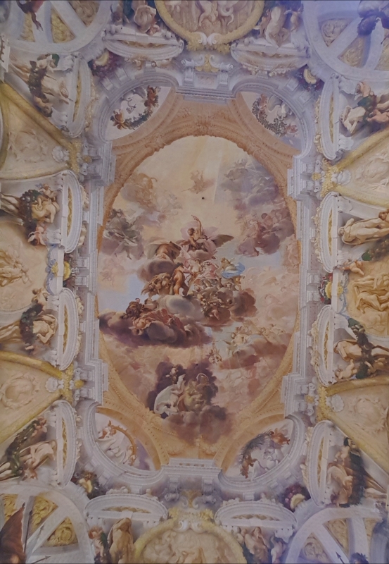 Palazzo Pepoli Campogrande - Salone d'onore affresco soffitto - Opi1010