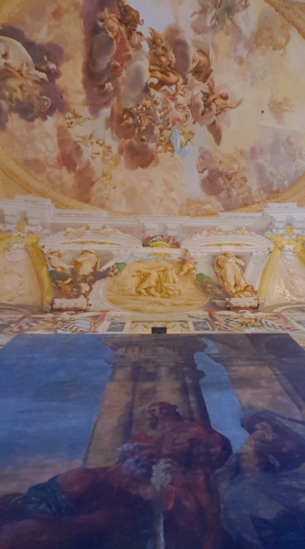 Palazzo Pepoli Campogrande - Salone d'onore dal basso verso l'alto - Opi1010
