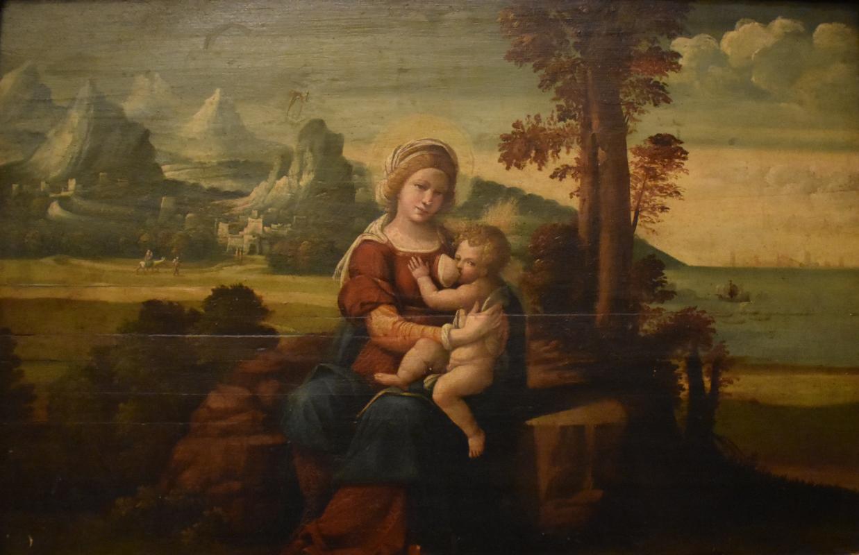 Benvenuto Tisi da Garofalo (maniera di), Madonna col Bambino, Museo Davia-Bargellini - Nicola Quirico