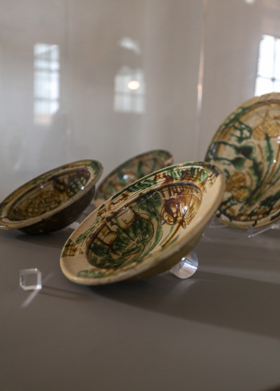 Particolare collezione di ceramiche della Rocca Sforzesca - Cristina Ferri
