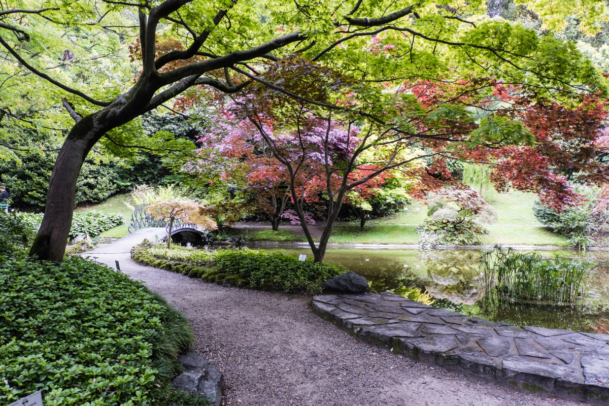 I giardini di Villa Melzi d'Eril - ENIT SpA