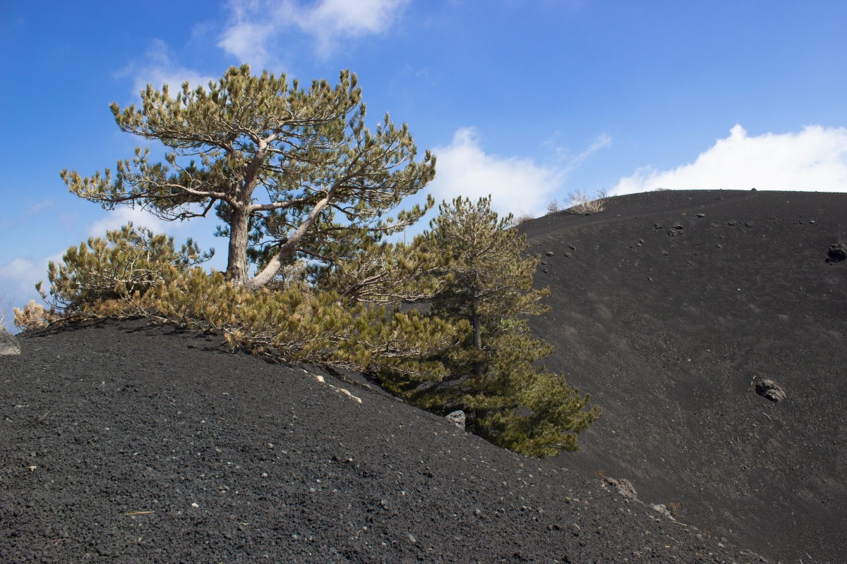 Paesaggio sull'Etna - Simone Antonazzo / ENIT SpA