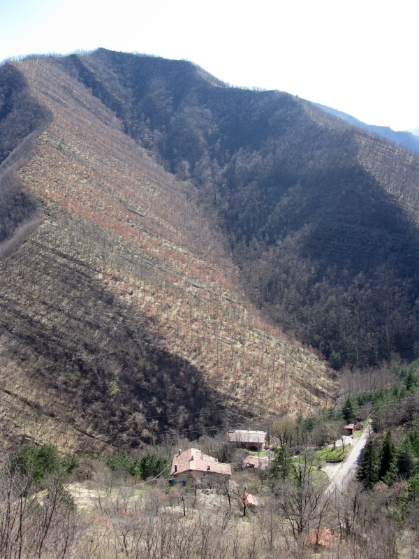 Panorama alta valle e crinale appennino 15 - GiancarloFabi