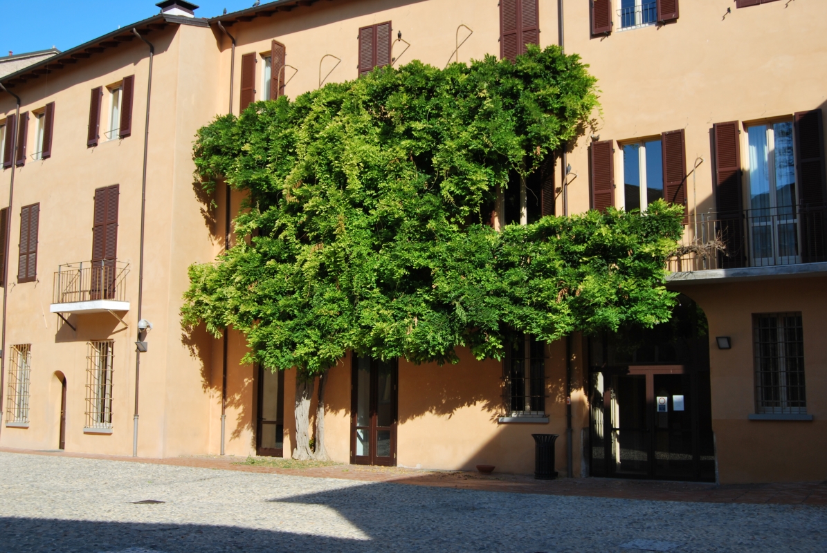 Palazzo Sassi Masini residenza Universitaria - Chiari86