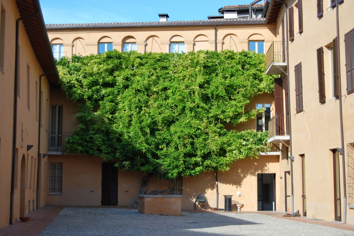 Particolare Palazzo Sassi - Chiari86