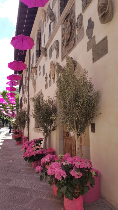 Palazzo del Capitano vestito di rosa per il 100° Giro d'Italia - Marco Musmeci