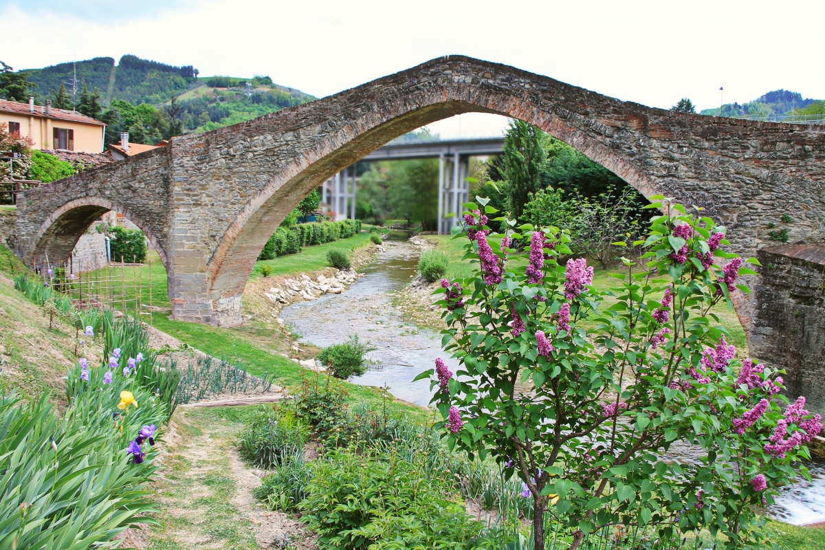 Ponte San Donato - Milena di nella