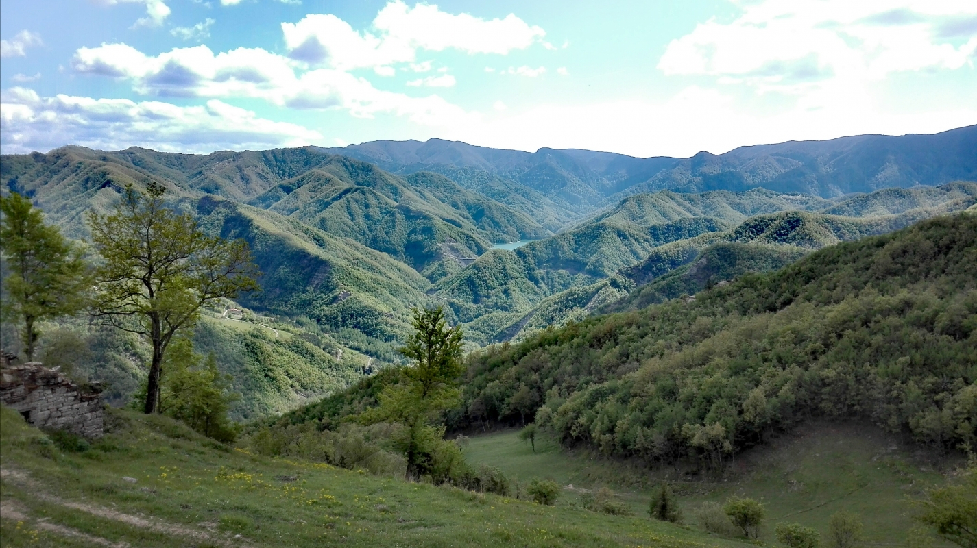 Poggio Collina Valle di Ridracoli - Nicola Andrucci