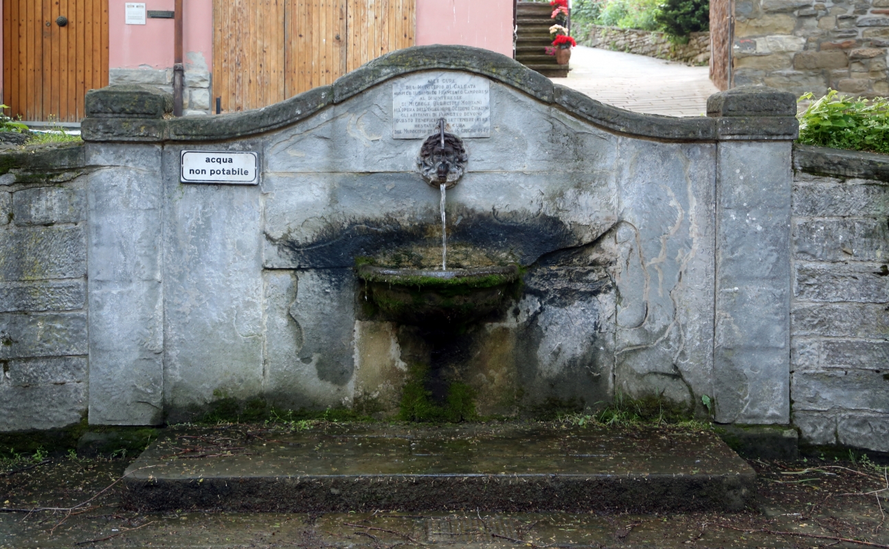 Pianetto di galeata, fontana pubblica - Sailko