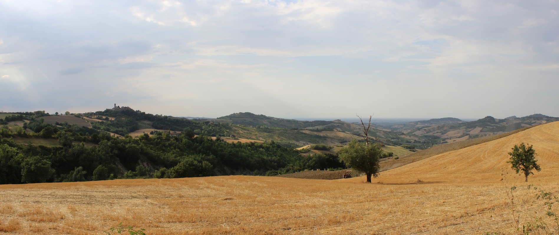 Panorama con scorcio di Teodorano - Serrale88