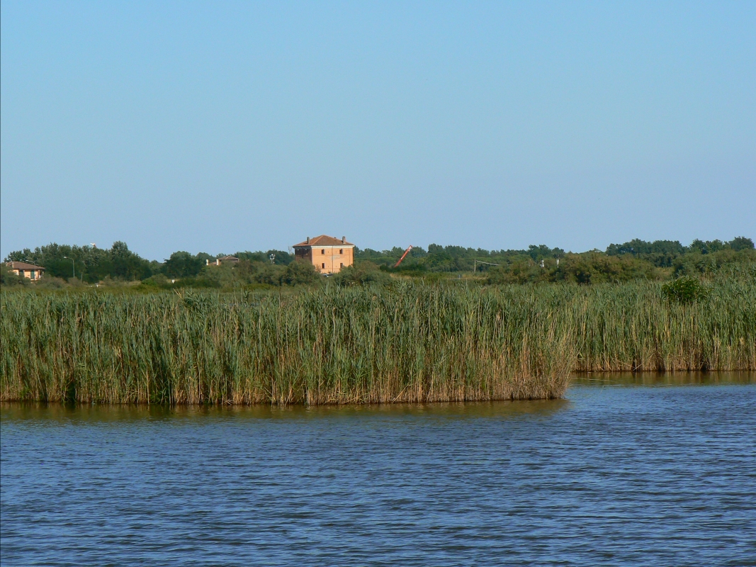 Torre della Finanza vista dall'oasi Canneviè-Porticino - Rverbi