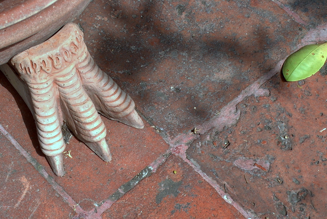 CASTELLO ESTENSE - Zampa di Leone in terracotta, dal Giardino degli Aranci - Gata da Plar