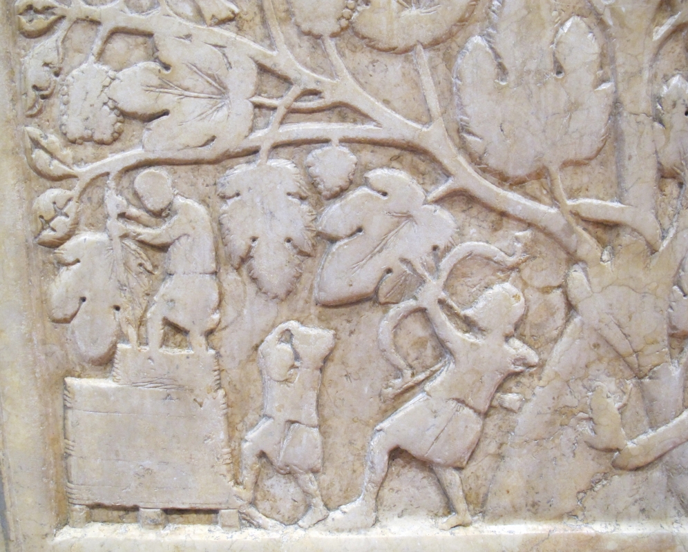 Ambito del maestro dei mesi, scena di vendemmia, 1220-1260 ca, 07 - Sailko