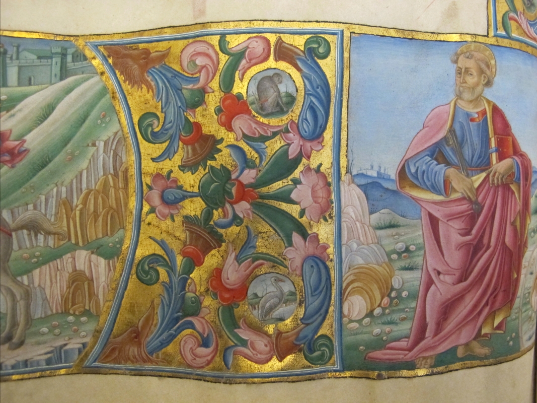Jacopo filippo argenta e fra evangelista da reggio, antifonario XII, 1493, 14 - Sailko