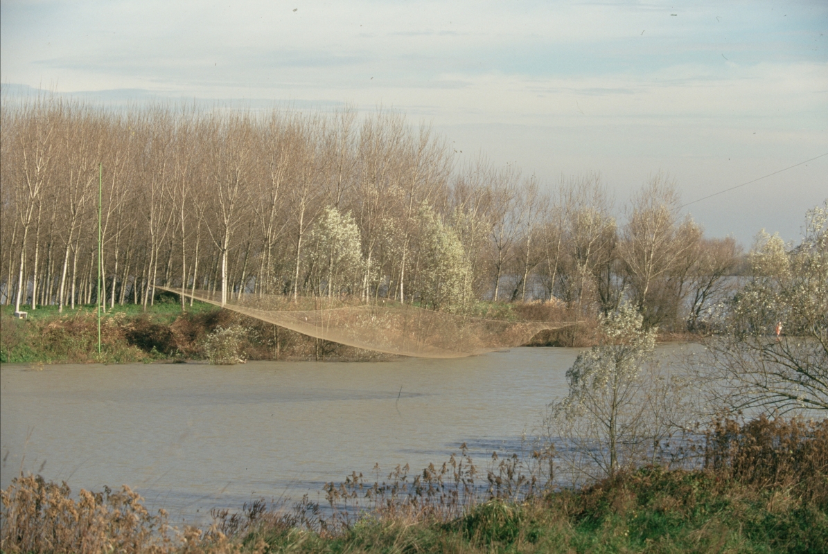 Stellata, paesaggio fluviale - Samaritani
