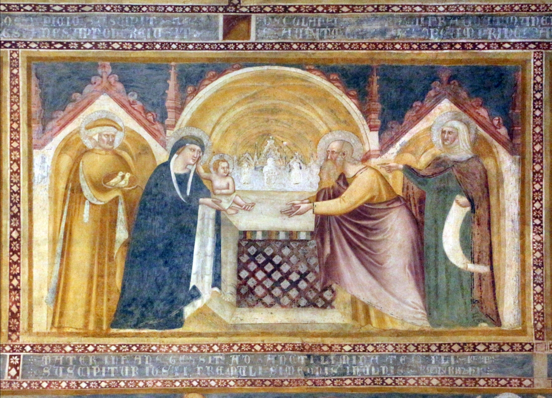 Scuola bolognese, ciclo dell'abbazia di pomposa, 1350 ca., nuovo testamento, 05 presentazione al tempio - Sailko