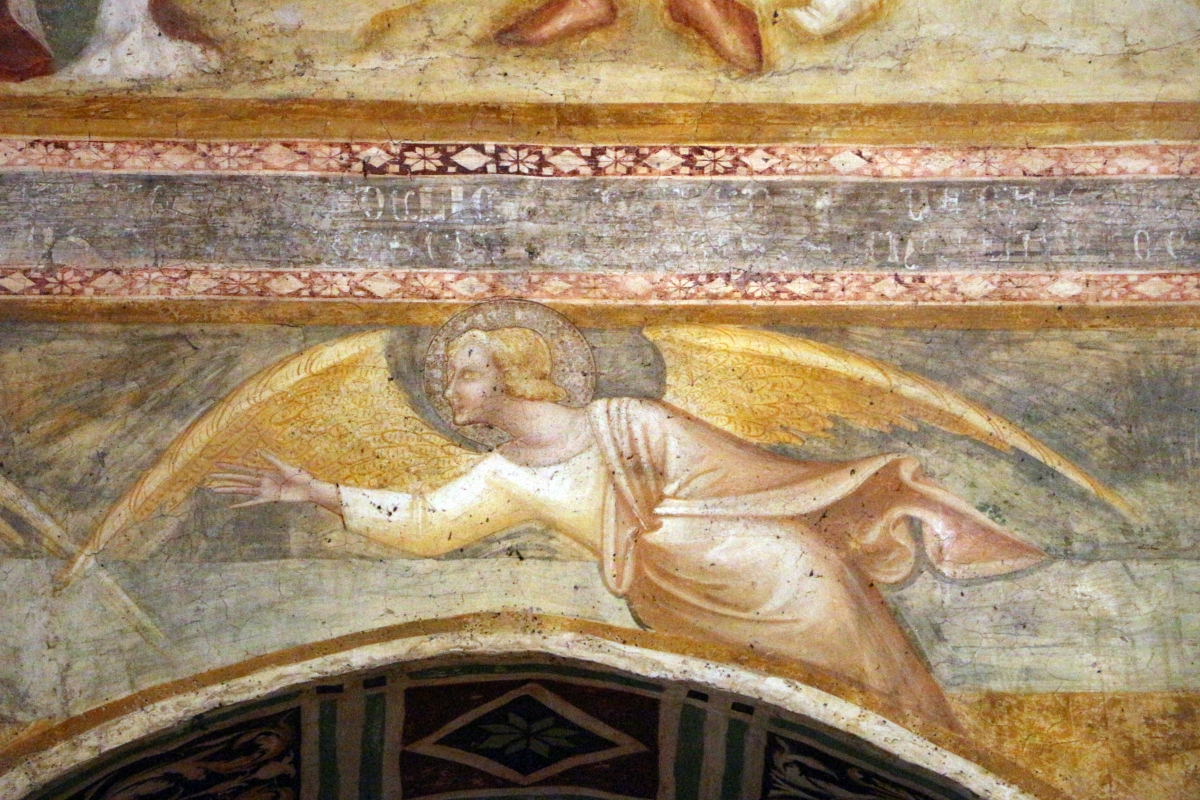 Scuola bolognese, ciclo dell'abbazia di pomposa, 1350 ca., apocalisse, 14 angelo col vangelo 2 - Sailko