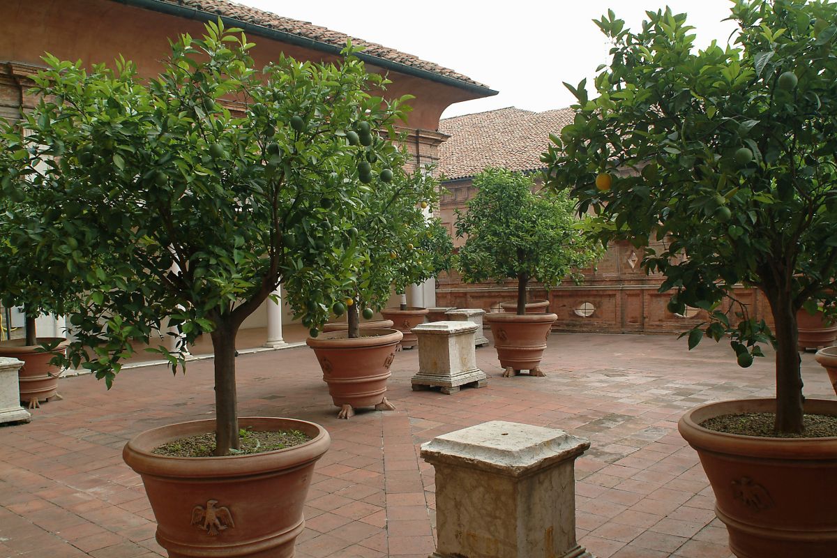 Castello Estense. Giardino degli Aranci - Baraldi
