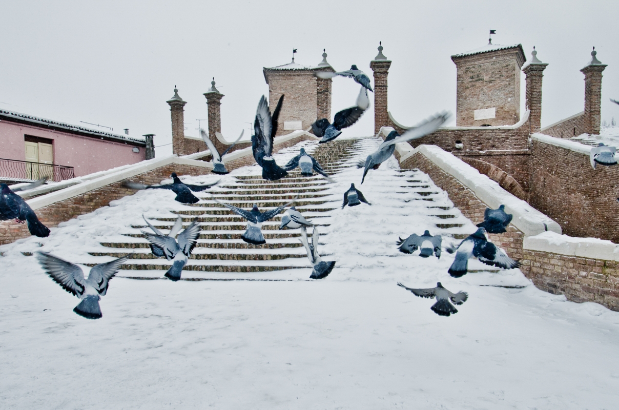 Nevevicata sul centro di Comacchio - Francesco-1978