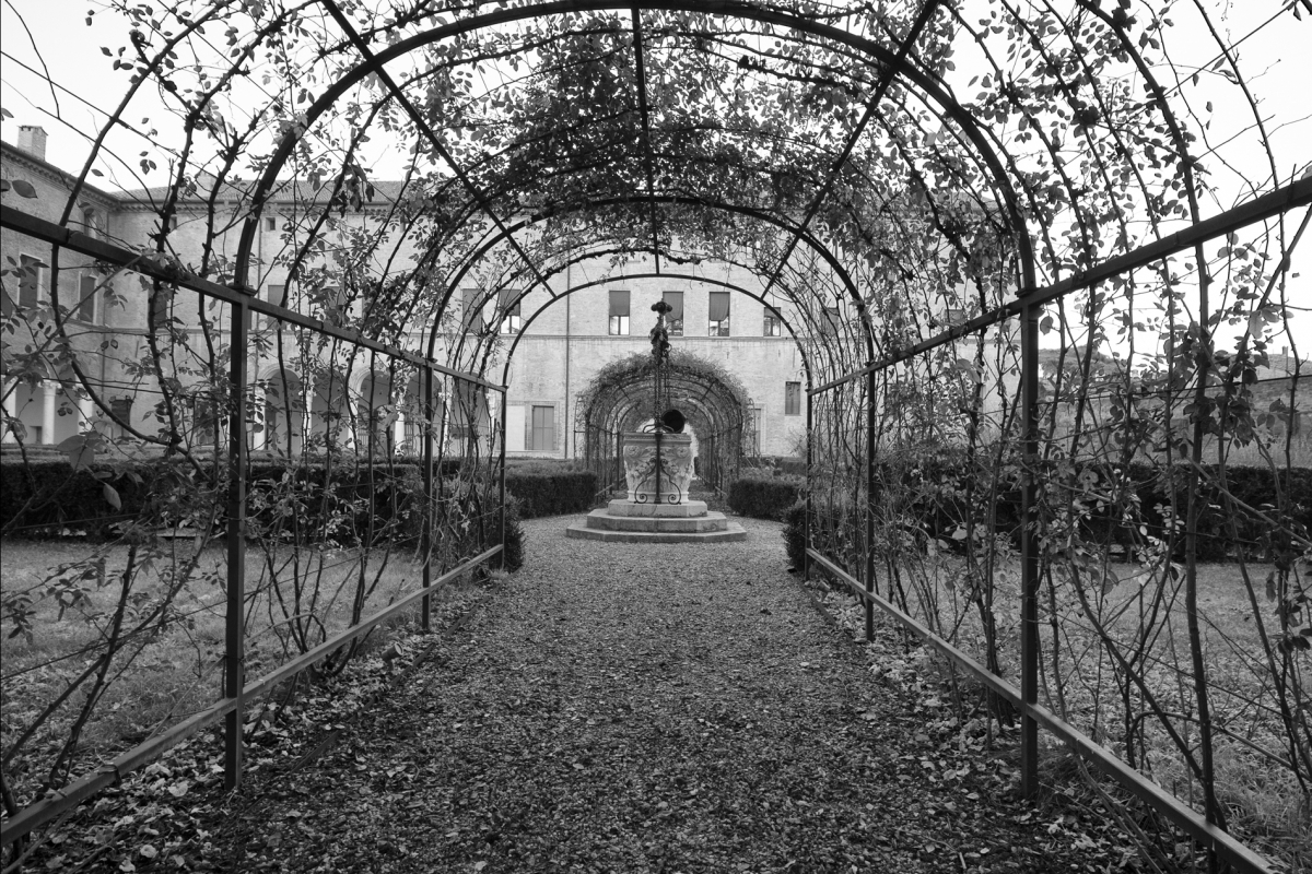 Il giardino del Palazzo - Antonella Balboni