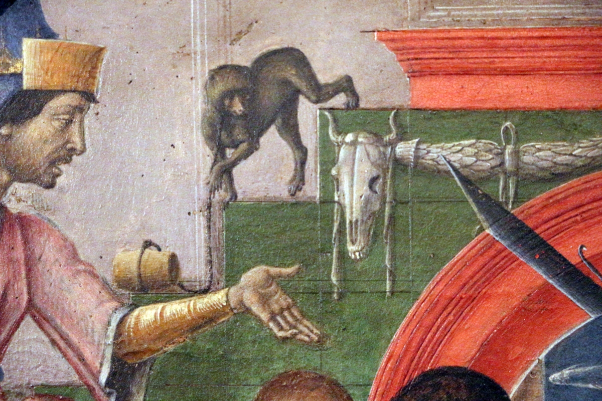 Cosmè tura, giudizio di san maurelio, 1480, da s. giorgio a ferrara, 04 scimmia - Sailko