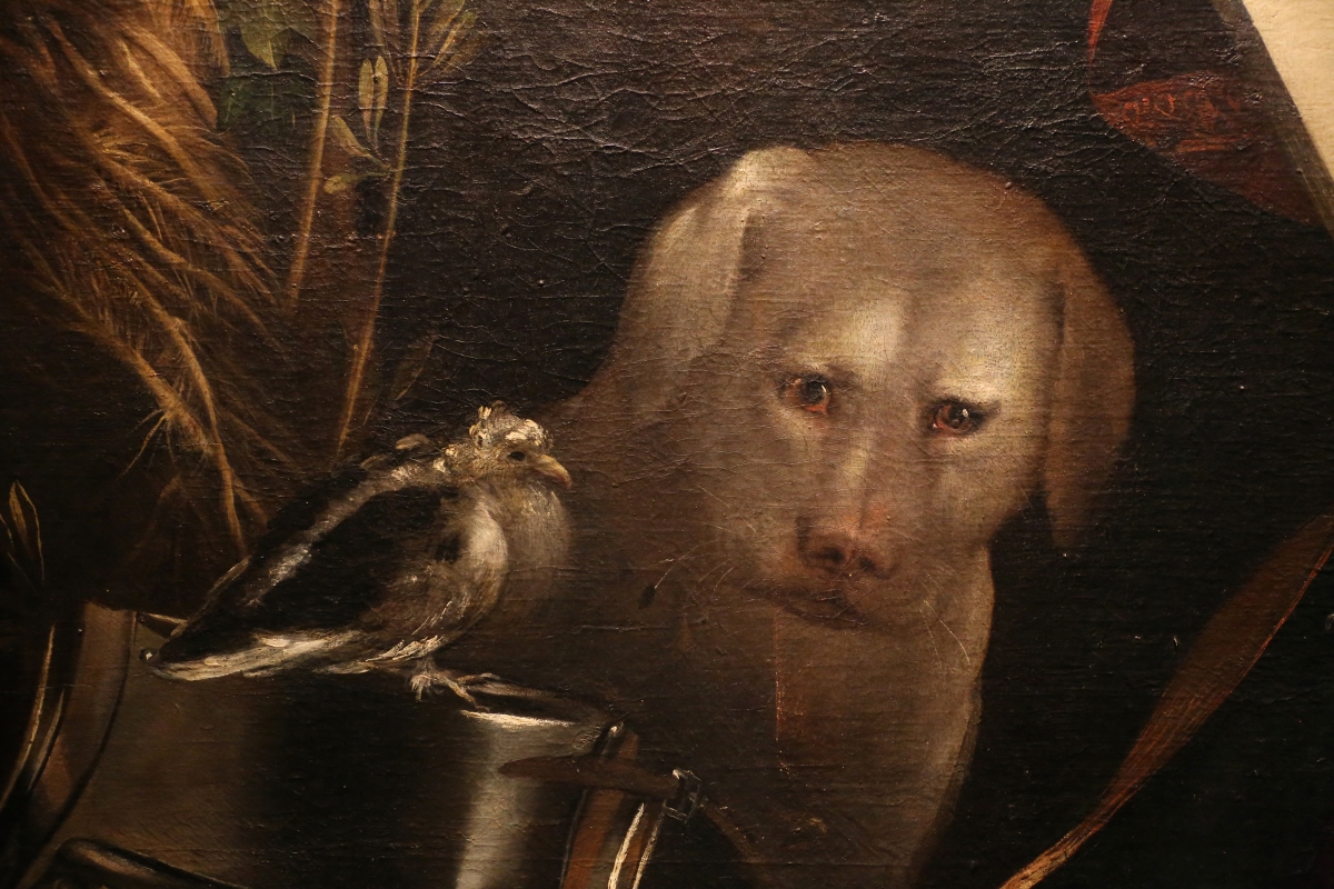 Dosso dossi, melissa, 1518 ca. 04 cane - Sailko