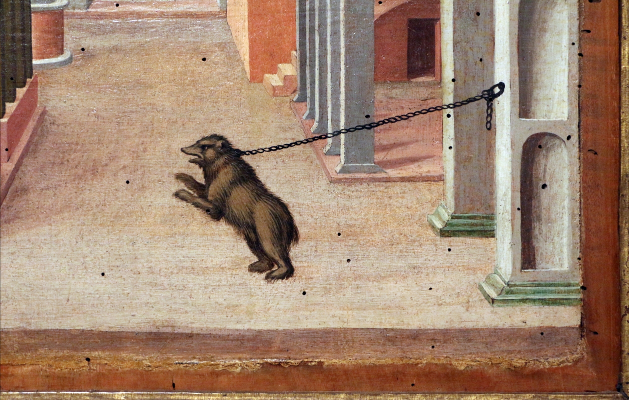 Girolamo da cotignola, due vedute di città, 1520, 11 orso incatenato - Sailko
