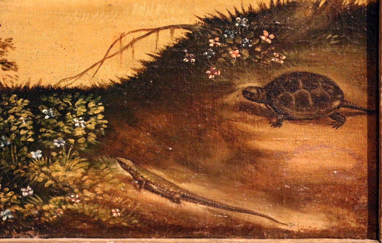 Maestro dei dodici apostoli, giacobbe e rachele al pozzo, ferrara 1500-50 ca. 10 tartaruga e lucertola - Sailko