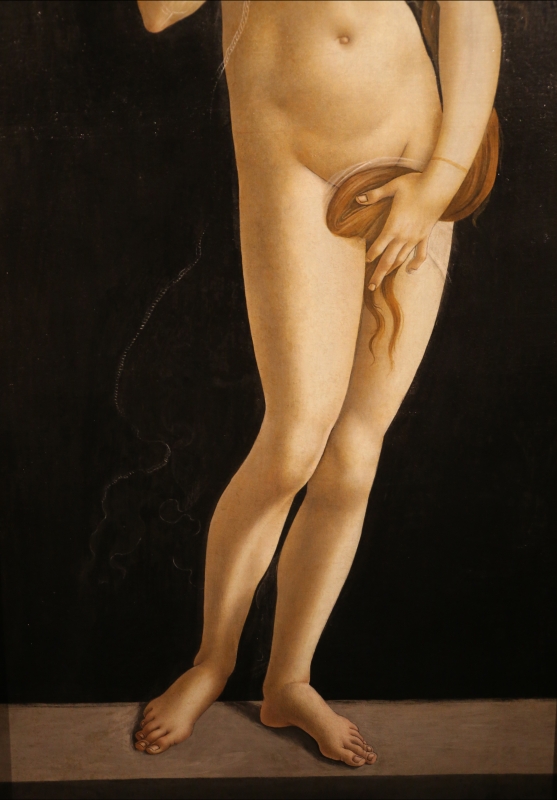 Sandro botticelli e bottega, venere pudica, 1485-90 ca. (galleria sabauda) 03 - 