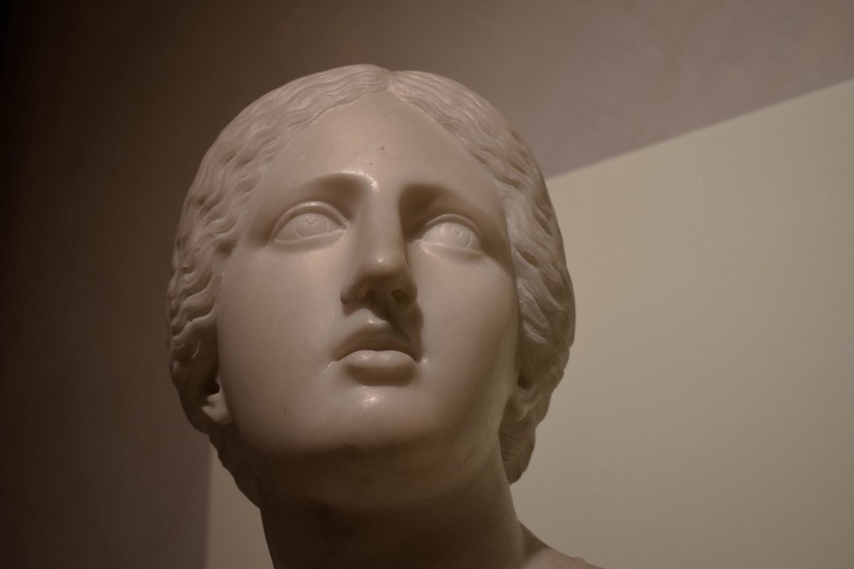 Busto di Niobe, collezione Riminaldi, Palazzo Bonacossi, Ferrara 02 - Nicola Quirico