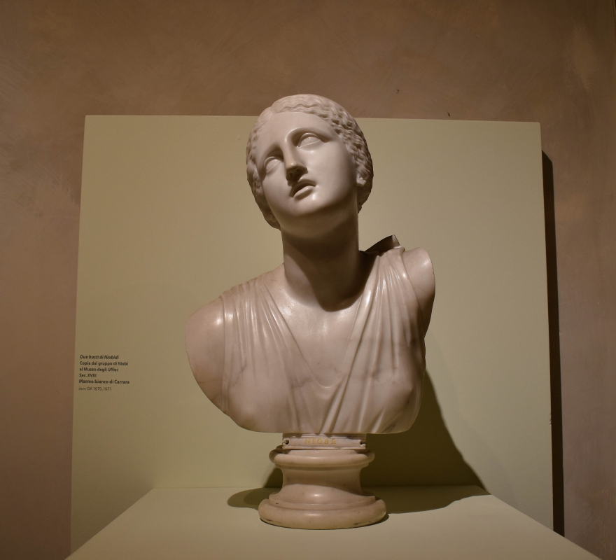 Busto di Niobe, collezione Riminaldi, Palazzo Bonacossi, Ferrara - Nicola Quirico