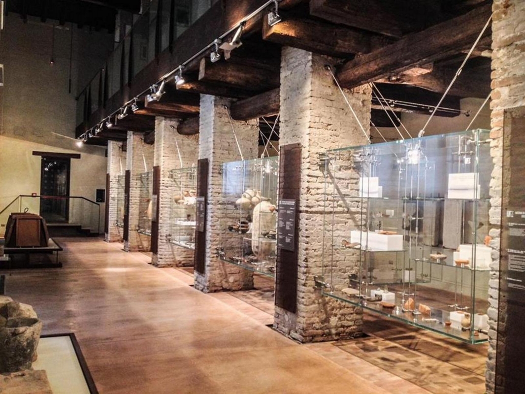 Sezione Archeologica del Museo Civico di Belriguardo - Alessandro Boninsegna