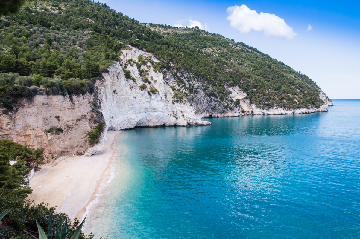 Vignanotica beach - ENIT SpA