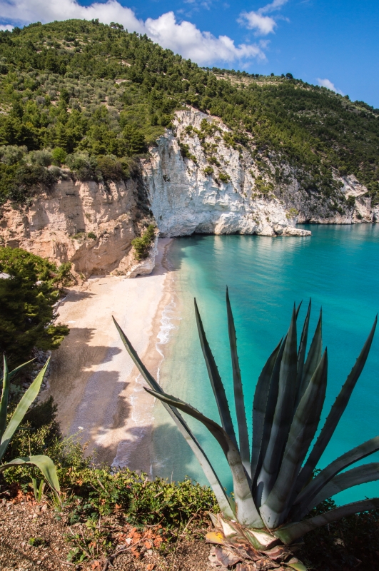 Vignanotica beach - ENIT SpA
